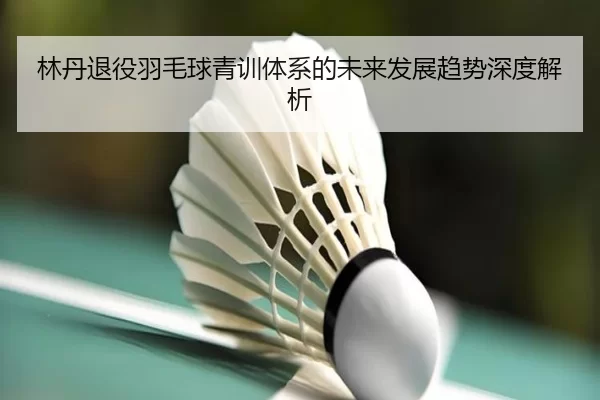 林丹退役羽毛球青训体系的未来发展趋势深度解析